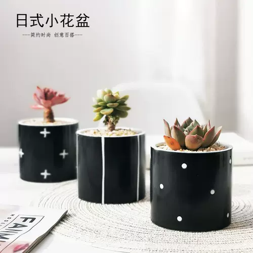 黑色多肉花器 新人首单立减十元 22年2月 淘宝海外