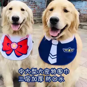 阿拉斯加犬超大型 新人首单立减十元 22年8月 淘宝海外