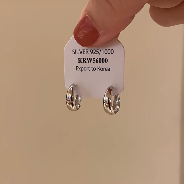 Simple silver-colored earrings 2025 new hot style high-end light luxury ear button temperament earrings for women niche design