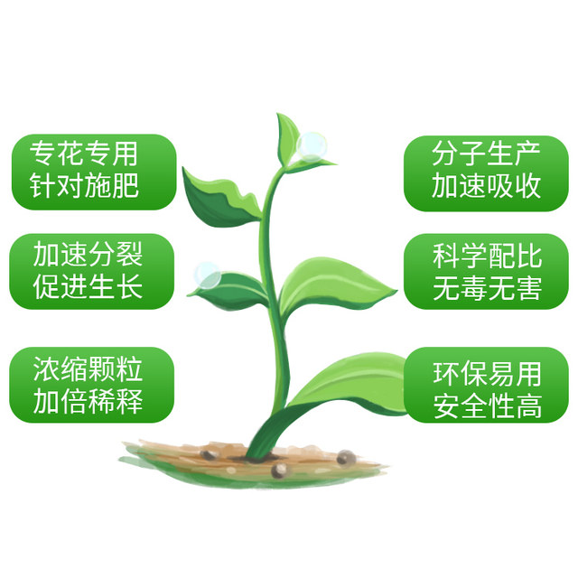 Plant compound fertilizer general flower fertilizer potted flower nutrition solution vegetable green ivy fortune tree organic fertilizer root powder