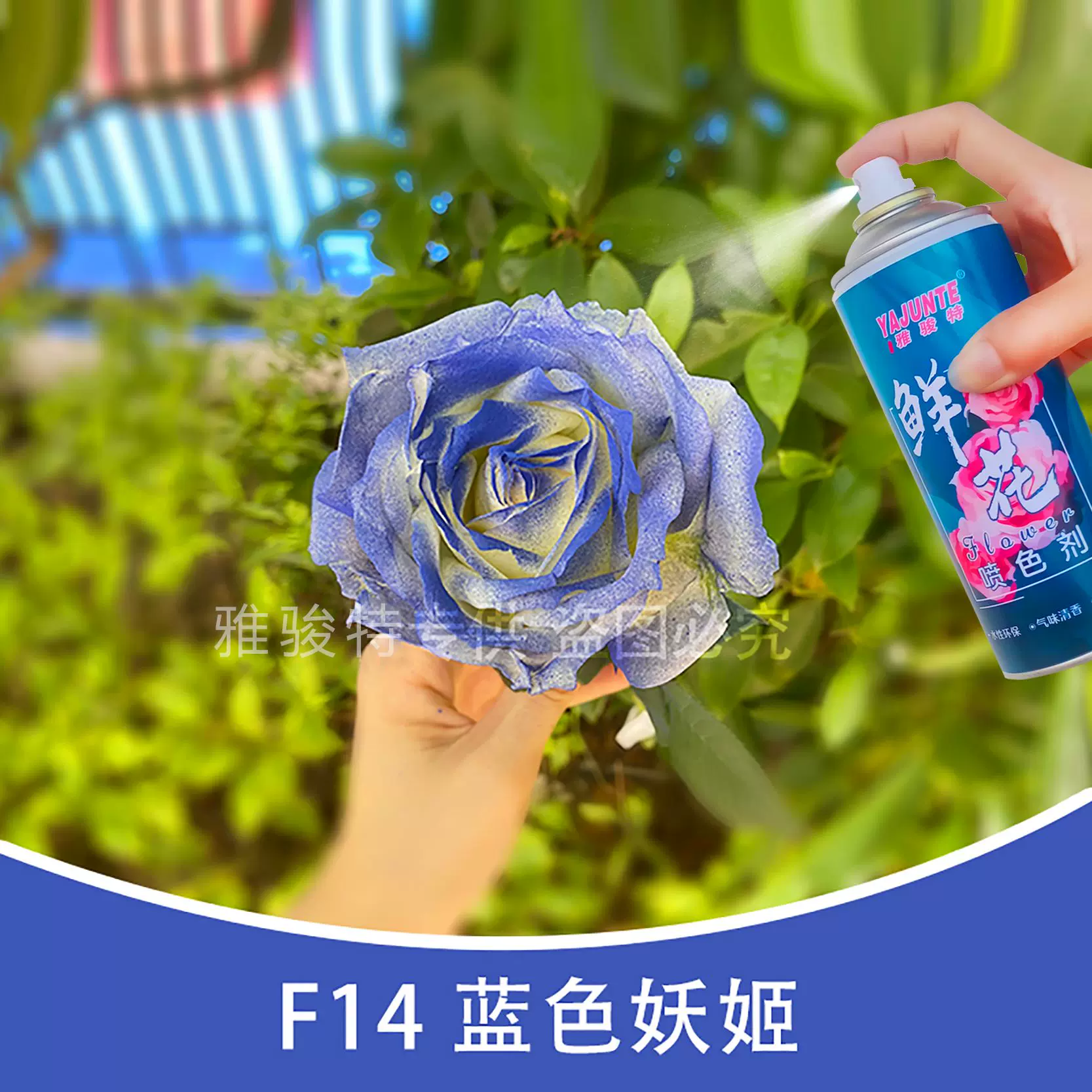 鲜花染色剂 新人首单立减十元 21年11月 淘宝海外