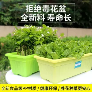 水菜种 新人首单立减十元 22年8月 淘宝海外 水菜种 新人首单立减十元 22年8月 淘宝海外