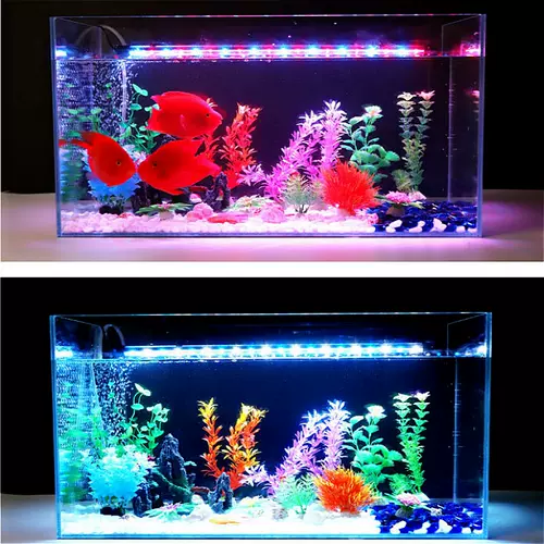 不伤海水灯 新人首单立减十元 22年1月 淘宝海外