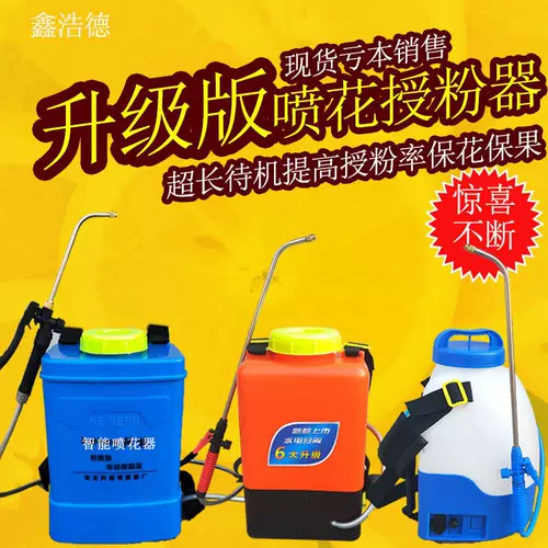 花茄子 新人首单立减十元 22年2月 淘宝海外