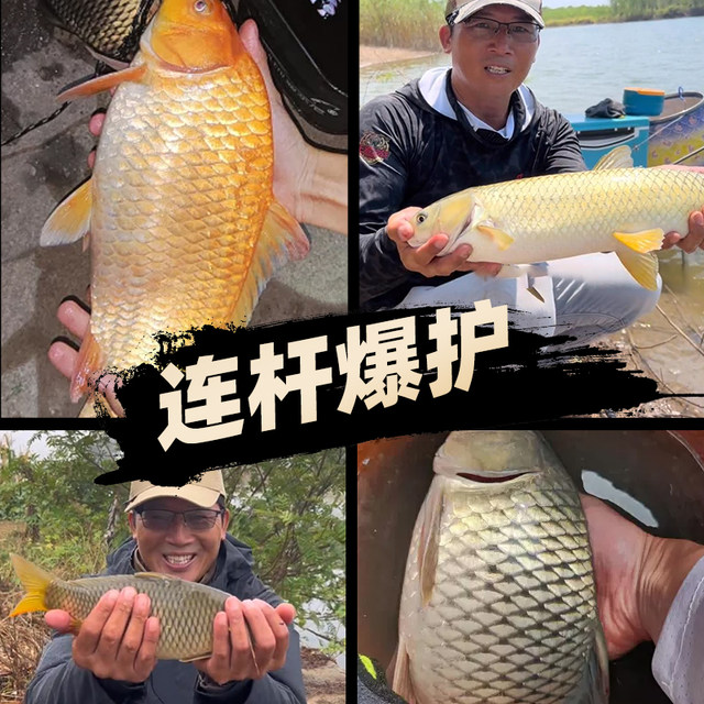 Liu Zhiqiang Fishing Fishing Powder Powder Polyn Boom Fishing Bar Pick ...