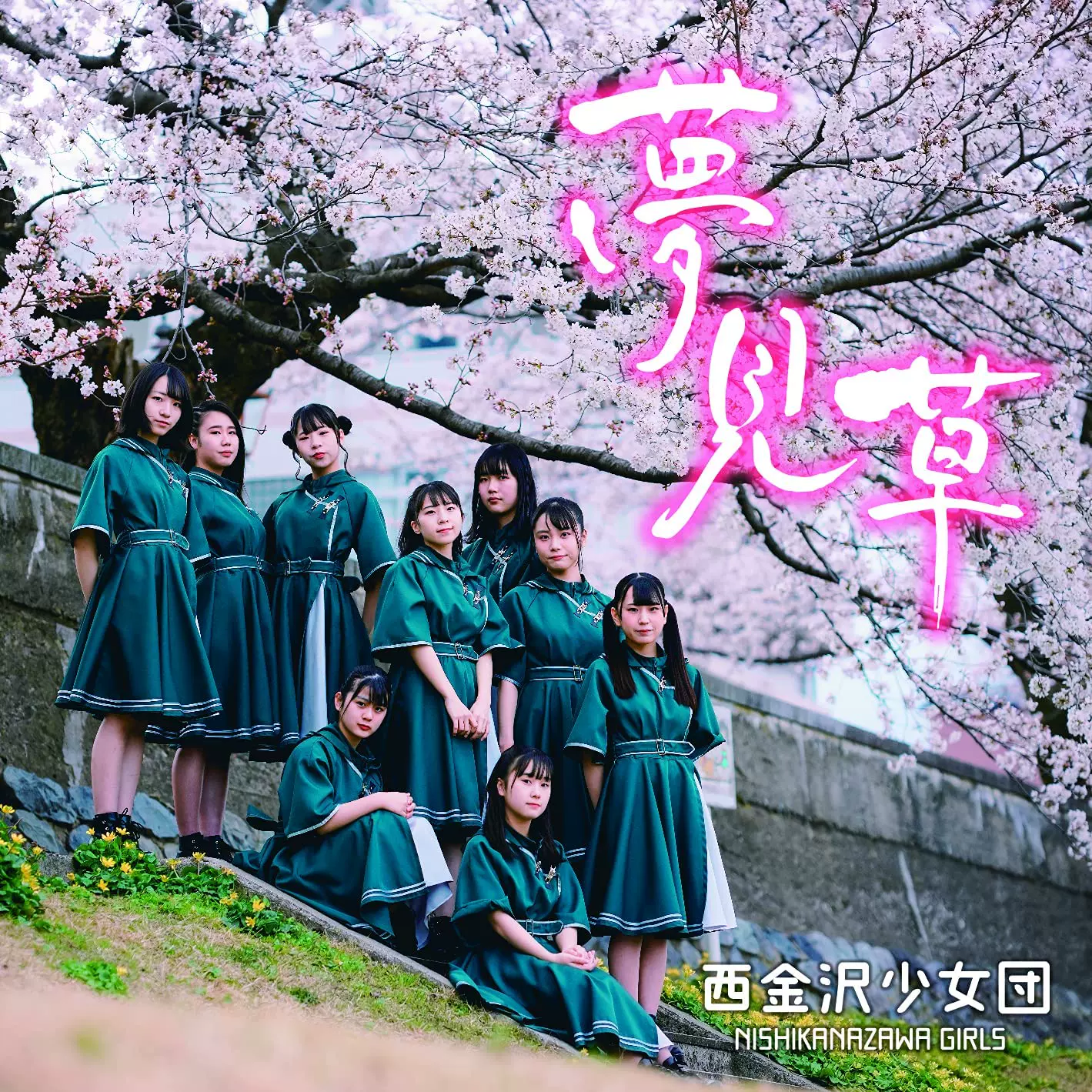 梦见草 新人首单立减十元 22年3月 淘宝海外