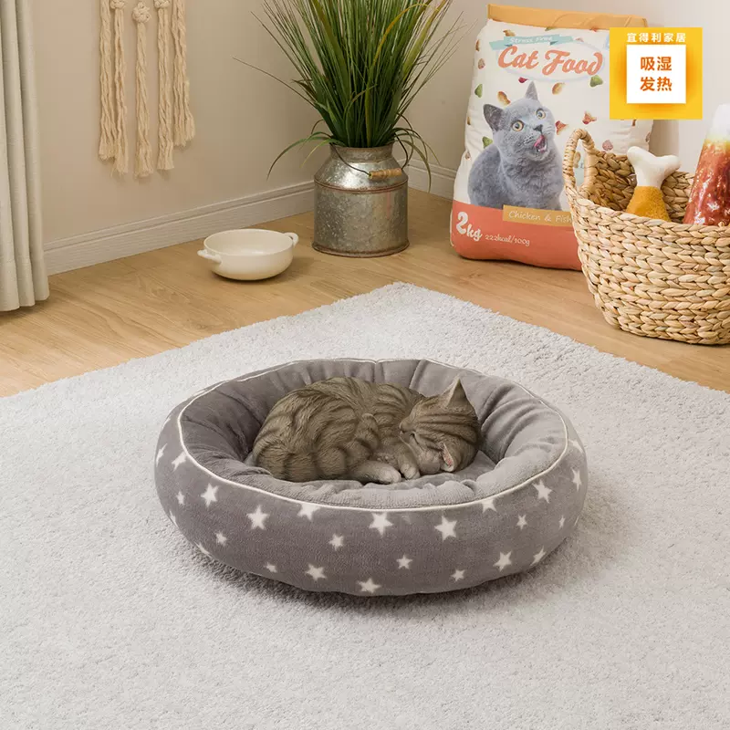 宜得利 囧臉貓抱枕 眼睛太傳神貓奴抱回家驚 跟主子長一樣啊 日本風向球