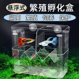 孔雀鱼产鱼孵化盒 新人首单立减十元 22年3月 淘宝海外