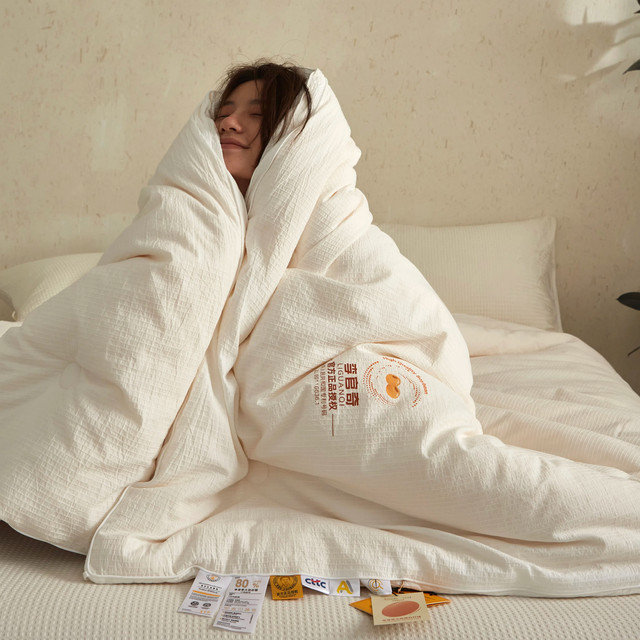 Li Guanqi 80% soy protein fiber quilt core cotton soybeans are thickened in spring and autumn to keep warm winter quilt