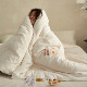 Li Guanqi 80% soy protein fiber quilt core cotton soybeans are thickened in spring and autumn to keep warm winter quilt
