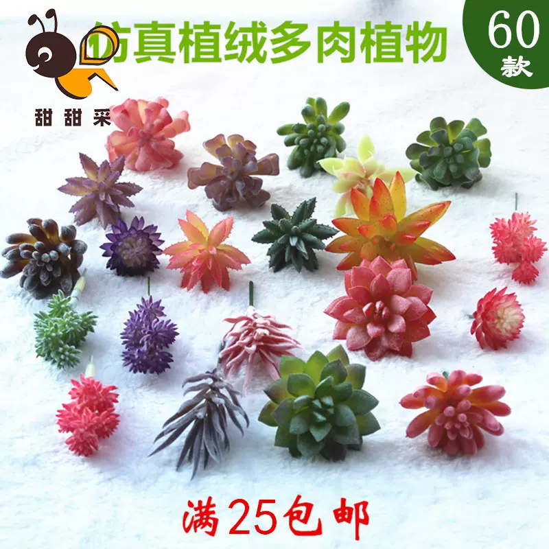 多肉微景观组合套装diy 新人首单立减十元 21年11月 淘宝海外