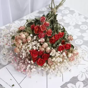 保存的真花 新人首单立减十元 22年4月 淘宝海外