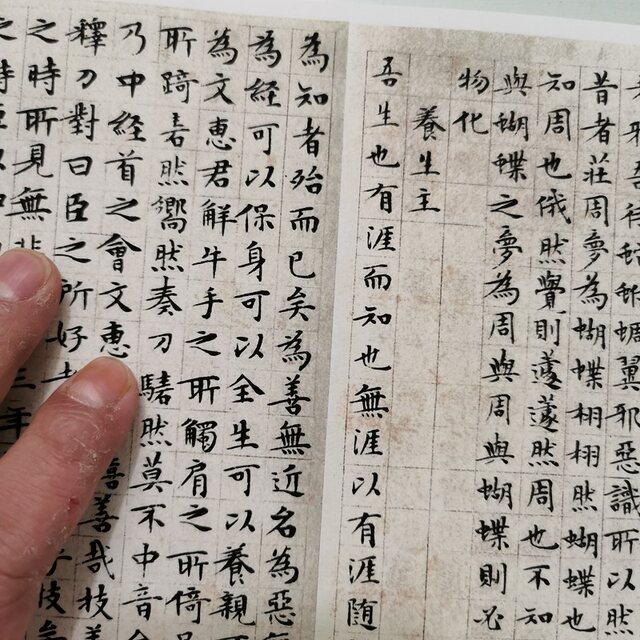 Wen Zhengming's small regular script Nanhua Sutra and Zhuangzi Xiaoyaoyou's retro calligraphy, calligraphy and painting, authentic giclee, antique framed decorative painting