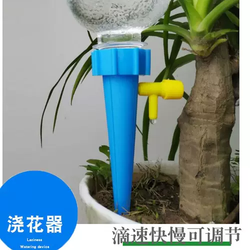 兰花盆栽浇水 新人首单立减十元 22年2月 淘宝海外