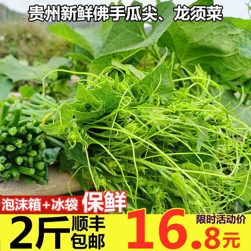 佛手瓜尖 新人首单立减十元 21年11月 淘宝海外