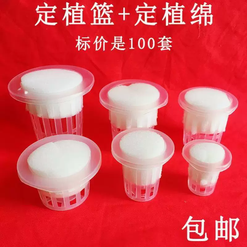 草缸水草固定器 新人首单立减十元 21年12月 淘宝海外