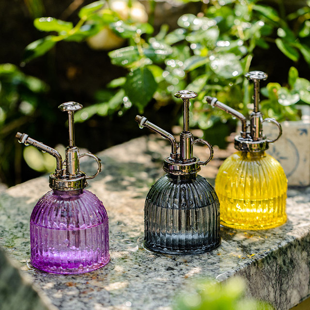 Watering can for watering flowers. Household small spray watering can. Small gardening air pressure type high-value retro glass small watering can.