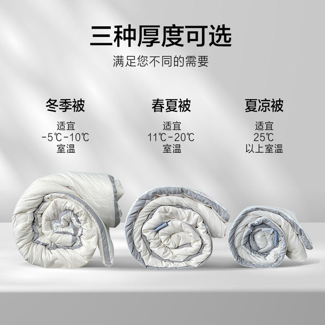 Soybean fiber quilt winter quilt quilt core student dormitory thickened warm spring and autumn air conditioner quilt single all seasons