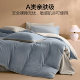 Hailan Home Milk Fleece Bed Four-Piece Set Coral Fleece Plus Fleece Thickened Double-Side Winter Bed Sheets Three-Piece Set
