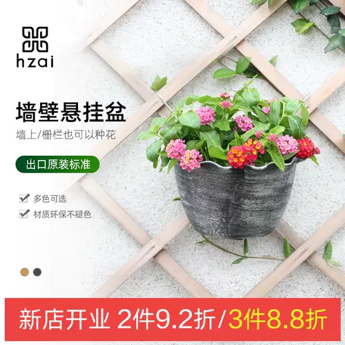 太阳花盆栽庭院 新人首单立减十元 22年2月 淘宝海外