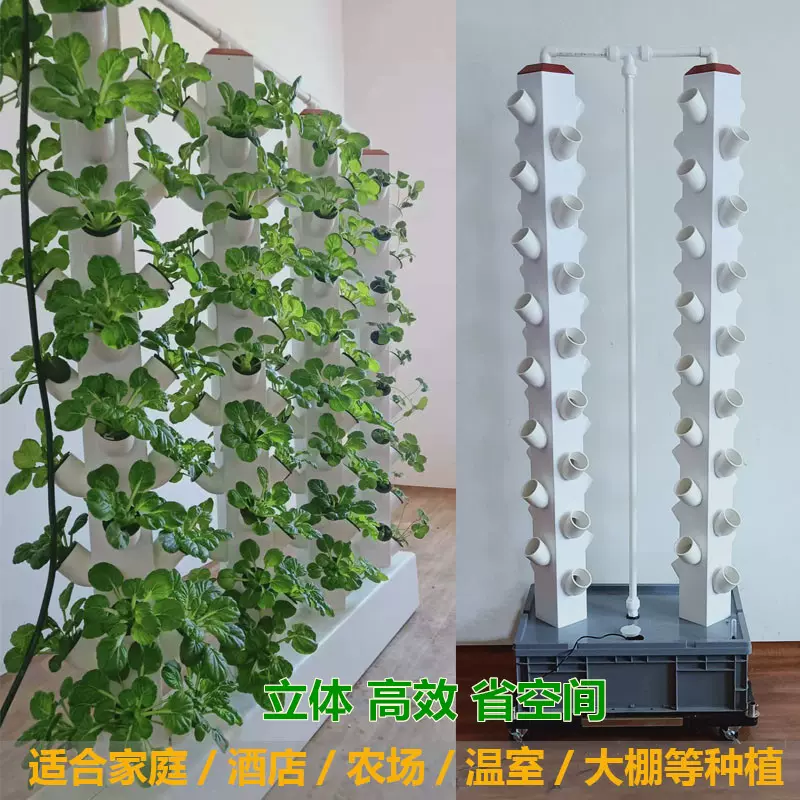 水菜种 新人首单立减十元 21年11月 淘宝海外