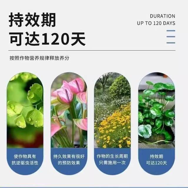 Gardening insecticidal sheet, boron, boron, fertilizer, insect deworming and aphids, thread white powder, potted fruit flowers and plants to prevent rotten
