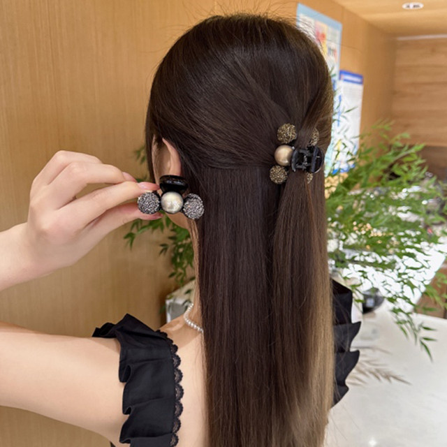 Half-tied hair clip for women 2025 new high-end hair clip back head hair clip headdress small scratch clip small size
