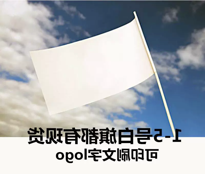 白班旗 新人首单立减十元 21年11月 淘宝海外