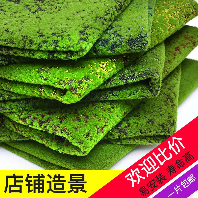 苔玉 新人首单立减十元 21年11月 淘宝海外