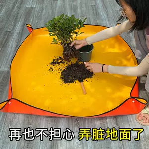 种肉肉的土 新人首单立减十元 22年10月 淘宝海外 种肉肉的土 新人首单立减十元 22年10月 淘宝海外