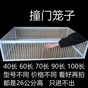 捕网捕鸟 新人首单立减十元 22年11月 淘宝海外