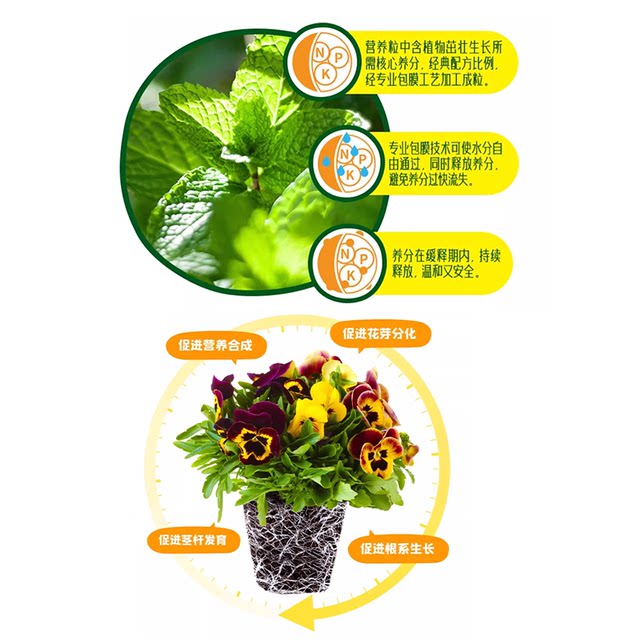 Meileke slow-release fertilizer granules for flower plants, long-lasting compound fertilizer for flowers, special flower fertilizer, nitrogen, phosphorus and potassium fertilizer