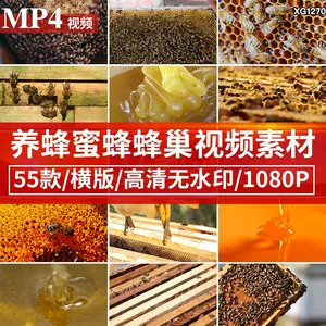 素材蜜 Top 400件素材蜜 22年11月更新 Taobao