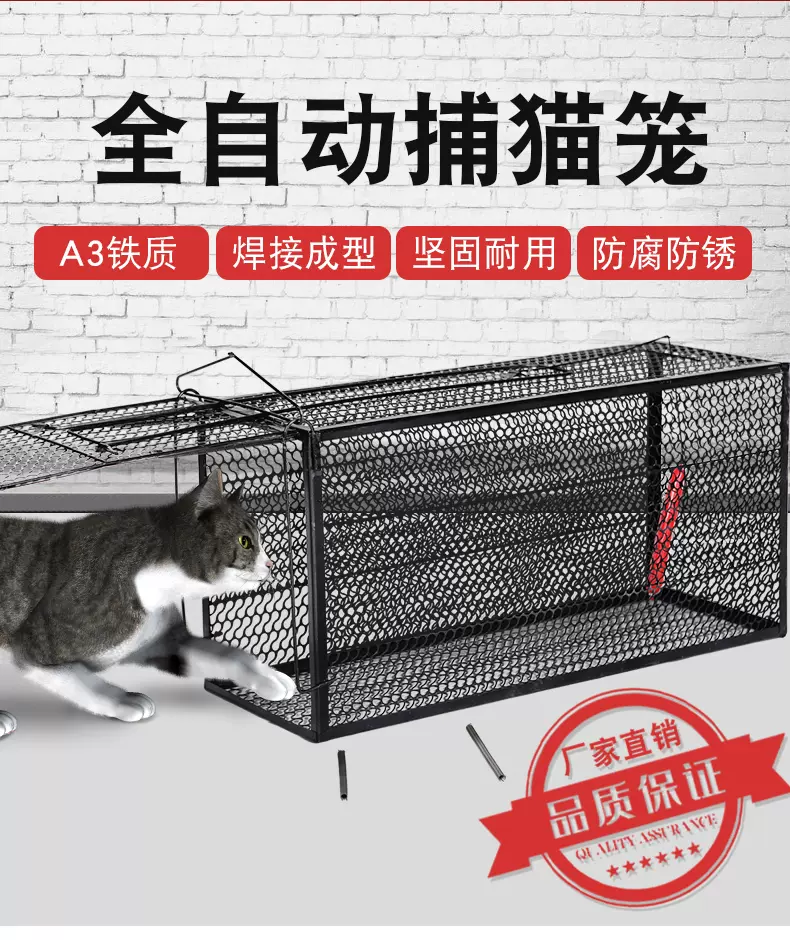 捕猫器捉猫笼 新人首单立减十元 2021年11月 淘宝海外