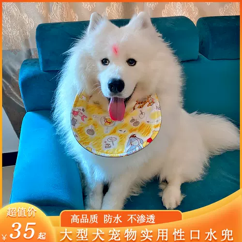 阿拉斯加犬超大型 新人首单立减十元 22年1月 淘宝海外