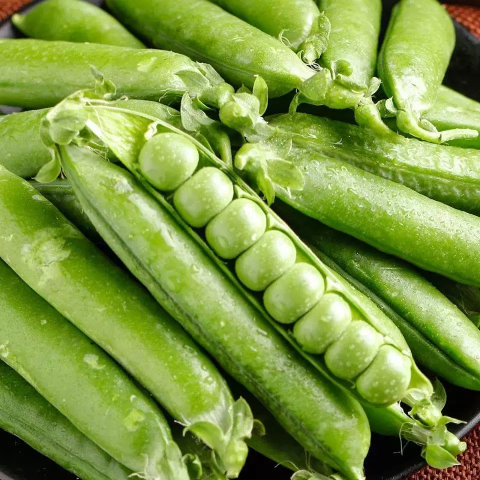 现摘豌豆角 新人首单立减十元 21年12月 淘宝海外