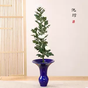 立花池坊- Top 100件立花池坊- 2023年8月更新- Taobao