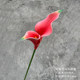
EVA double-headed calla lily and calla lily wedding hall decoration model room floral flower arrangement photography props holding bouquet