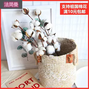 木棉花棉花 新人首单立减十元 22年4月 淘宝海外