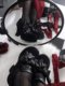 In stock, blood clan animal goth original velvet wine glass and dark lace bow lolita subculture