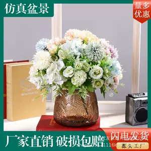 水草摆饰 新人首单立减十元 22年4月 淘宝海外