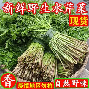 野生水芹菜新鲜 新人首单立减十元 22年8月 淘宝海外