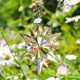 Sun catcher light gift Tyndall effect crystal pendant creative decompression combined color ornaments glass polygonal prism