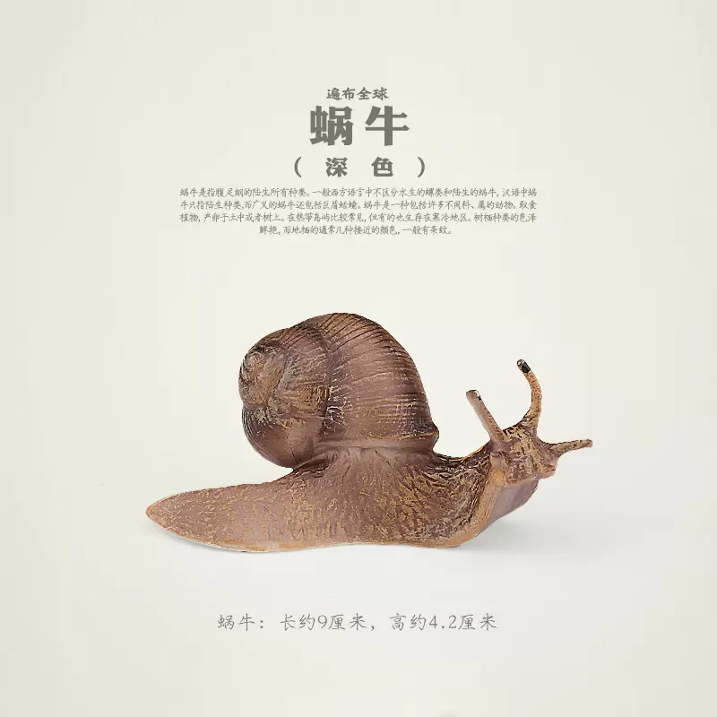 童德仿真蜗牛模型动物玩具软体动物模型儿童认知益智 童德仿真蜗牛模型动物玩具软体动物模型儿童认知益智