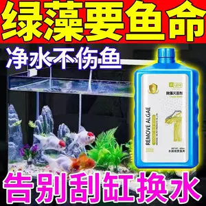 鱼缸除绿苔 新人首单立减十元 22年7月 淘宝海外