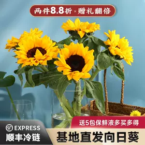 鲜切花向日葵 新人首单立减十元 22年9月 淘宝海外