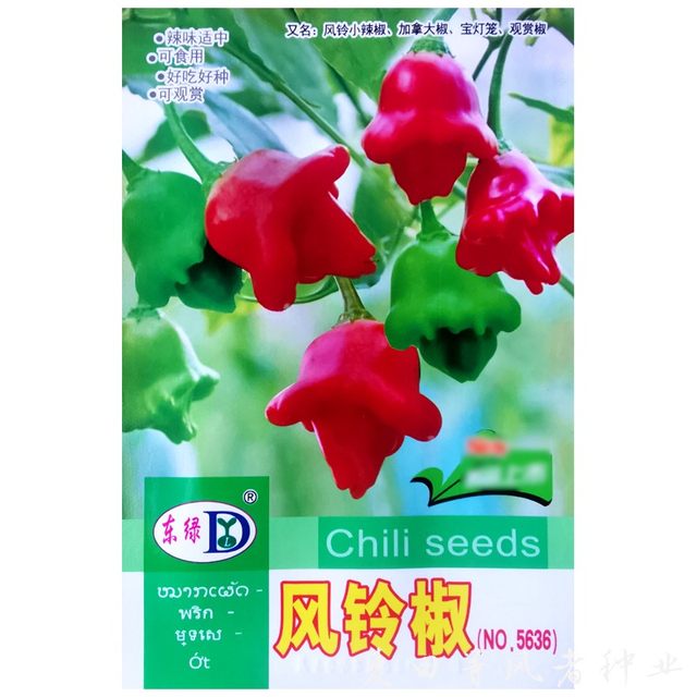 Wind chime pepper seeds early ripening ornamental pepper bell pepper vegetable seeds sowing in the spring four seasons of the balcony potted vegetable seeds