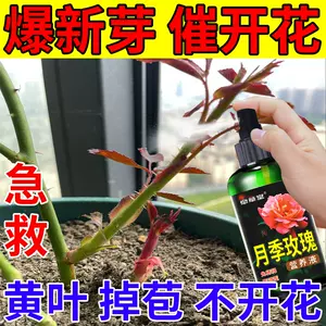 玫瑰花肥料包邮 新人首单立减十元 22年7月 淘宝海外