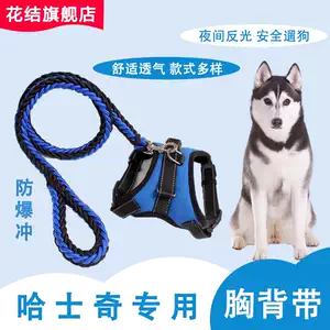 哈士奇胸背中型犬 新人首单立减十元 22年9月 淘宝海外 哈士奇胸背中型犬 新人首单立减十元 22年9月 淘宝海外