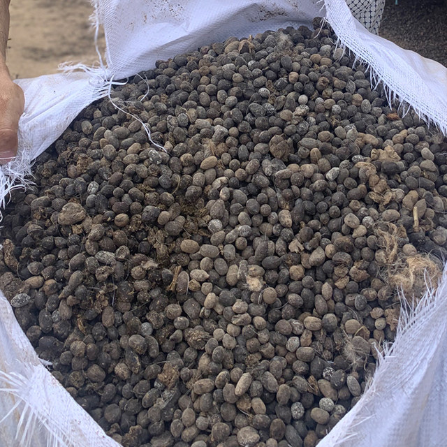 10-100Jin [Jin equals 0.5 kg] Sheep manure fermentation organic fertilizer pot plant fertilizer vegetable fertilizer flower general vegetable farm pure sheep manure egg
